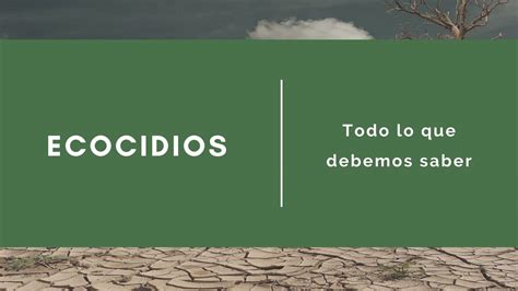 El Ecocidio Todo Lo Que Necesitas Saber