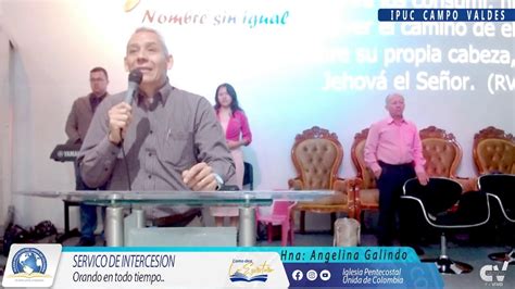 Servicio De Edad Dorada Ipuc C V Youtube