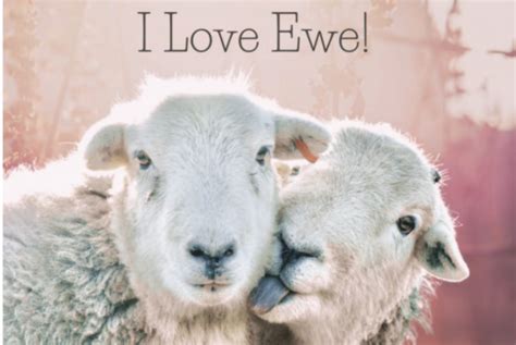 I Love Ewe Yew Tree Farm