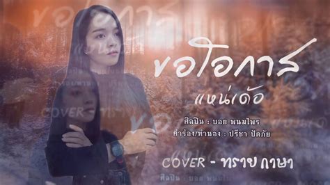 ขอโอกาสแหน่เด้อ ทราย กาษา Cover Original บอย พนมไพร Youtube