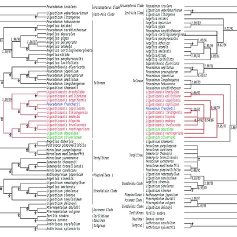 Phylogeny Of The Taxa Inferred From Maximum Likelihood Ml And