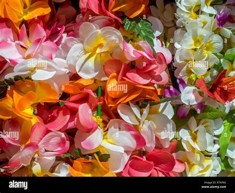 Colorful Hawaiian lei flowers from Honolulu, Hawaii Stock Photo - Alamy