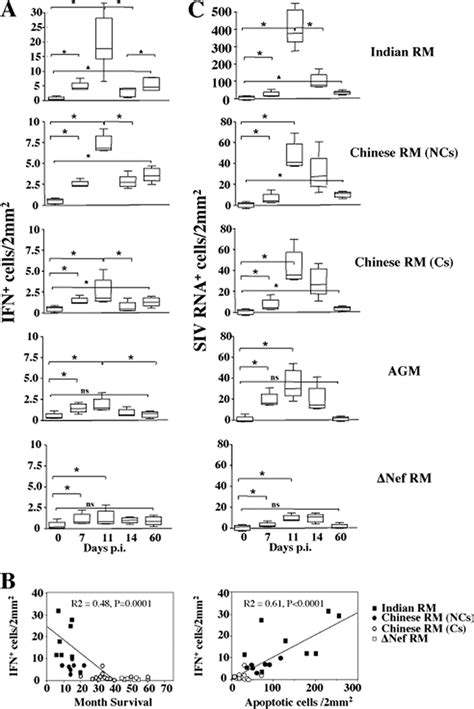 Comparison Of Ifn 1 Cells Expression In Pathogenic And Nonpathogenic Download Scientific