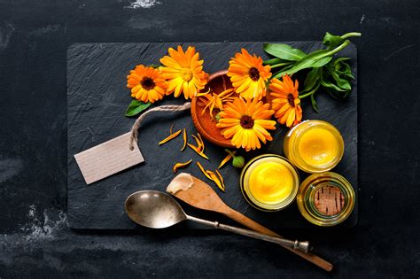 Ringelblumensalbe 4 Wirkungen 3 Alternativen Zur Calendula Salbe