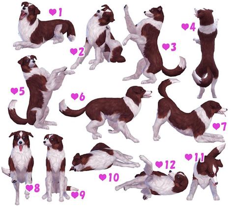 Sims 4 CC's - The Best: Dog Pose (Large,Small,Puppy) by A Lucky Day | ザ ...