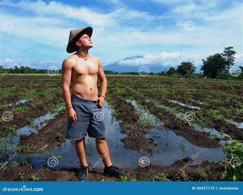 Half Naked Farmer On The Rice Field Stock Photo Image Of Vegetation