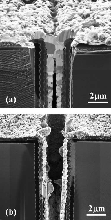 Cross Sectional Fib Sim Images Of A Tsv After Cu Electroless Plating