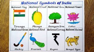 National Symbols Of India Drawing How To Draw National