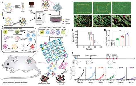 Implantable Scaffoldbased Vaccine A Schematic Illustration Of