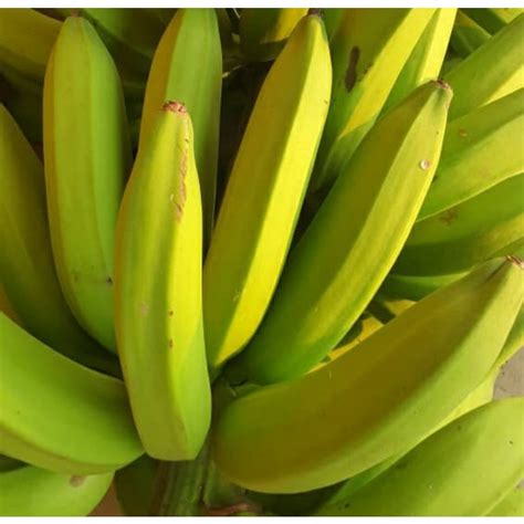 Jual Pisang Raja Nangka Semarang Fresh Dan Sekarang Jual Buah Semarang