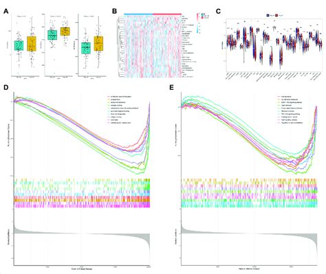 Analysis Of Immune Cell Infiltration Landscape In Dlbcl Patients A