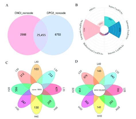 A Comprehensive Catalogue Of Lncrna Mrna Relationships In Brassica