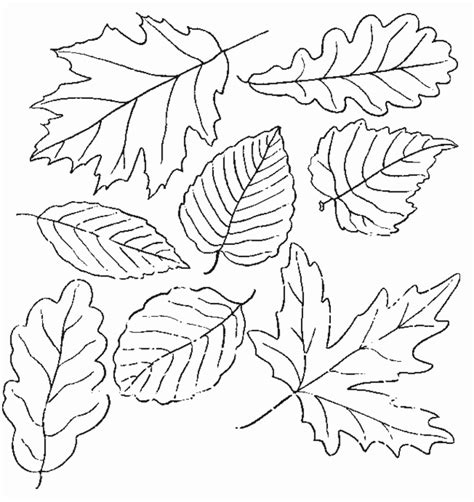 Fall Coloring Page For Coloring Home