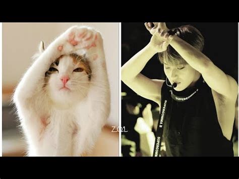 Taemin Shinee Vlive With His Cat My Text Commentary Youtube