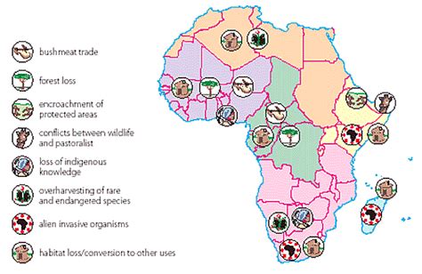 Lesson 3 African Biodiversity And Conservation