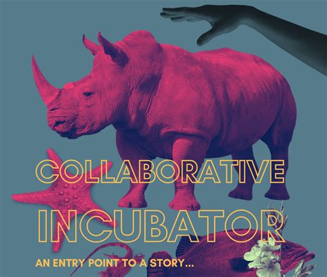 Reframing Migrants programme presents the Collaborative Incubator ...