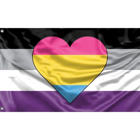 Asexual Panromantic Heart Flag Unique Print 3x5 Ft 90x150 Etsy