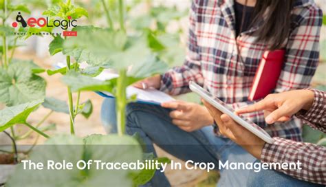 The Role Of Traceability In Crop Management Aeologic Blog