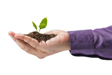 Plant In Hand Stock Image Colourbox