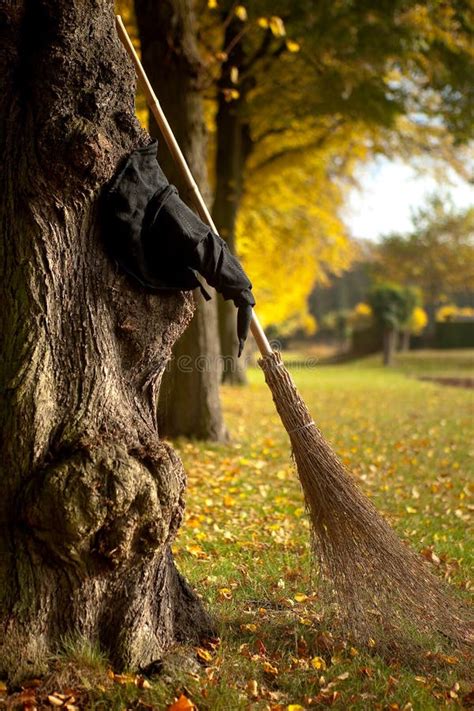 Witch Hat and Broom in Autumn Stock Photo - Image of broomstick, scary ...