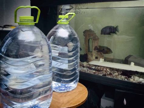 Que ocurre con los peces si en lugar de agua de Garrafón se utiliza