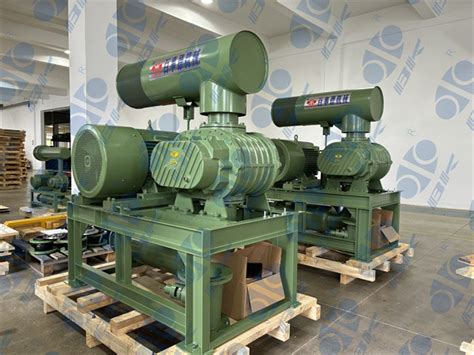 M Min Mpa Cast Iron Three Lobe Roots Blower For Pneumatic Conveying