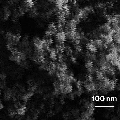 FE SEM Images Of TiO 2 L H Left TiO 2 S L Middle And TiO 2 S H