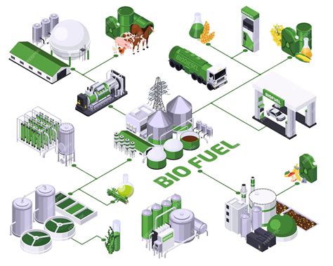 Biodiesel Production Process Flow Diagram