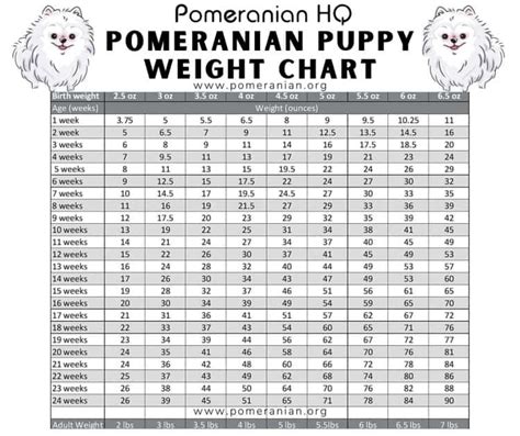 Pomeranian Weight Chart: Puppy Growth Chart Details, 40% OFF