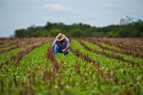 IMPORTANCIA DE LA AGRICULTURA EN MÉXICO. La #Agricultura en #México es ...