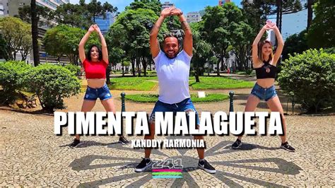 Pimenta Malagueta Xanddy Harmonia Coreografia Cia Z Youtube