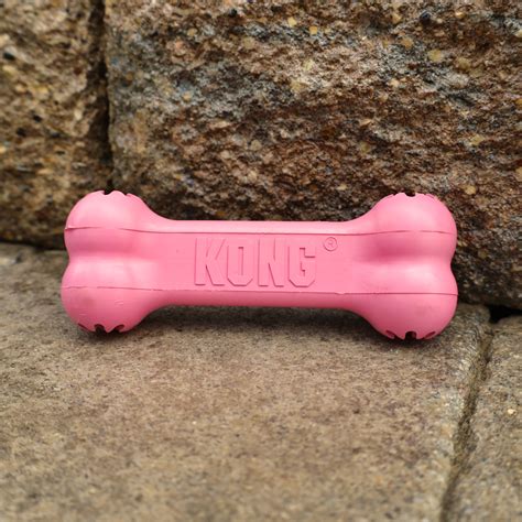 What Can I Put In A Kong Puppy Toy