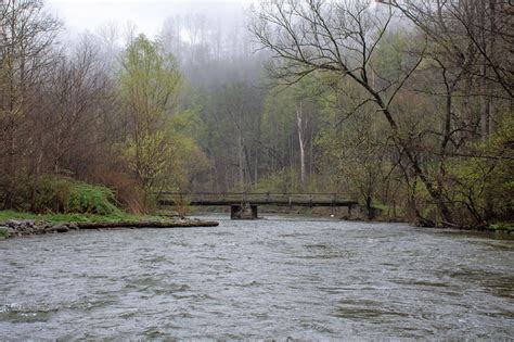 Spring Creek Stream Report - Dark Skies Fly Fishing