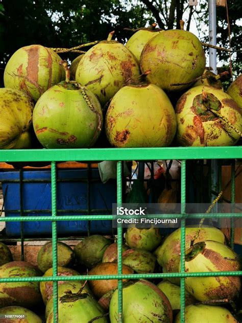 Air Kelapa Muda Dijual Di Pinggir Jalan Indonesia Minuman Ini Populer