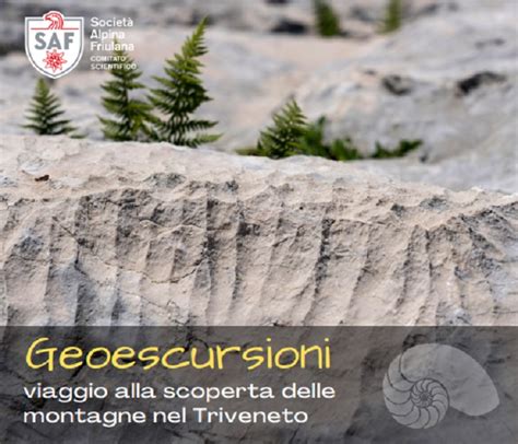 Geoescursioni Con La Societ Alpina Friulana