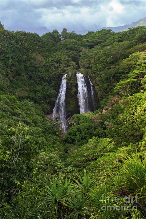 Opaekaa Twin Waterfalls Wailua River Kauai Hawaii Photograph By