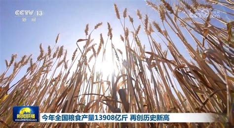 今年全国粮食产量13908亿斤 再创历史新高单产生产总产量