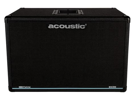 Acoustic Amplification Introduces Class D Neo Series No Treble