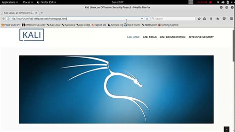 How To Install Amd Drivers Kali Linux