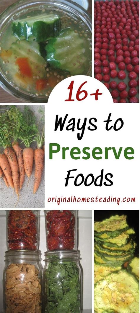 Ways To Preserve Food 16 Modern And Traditional Preserving Food