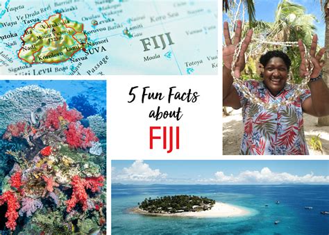 fun facts  fiji big rock travel boutique travel agency