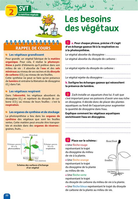 Passeport Toutes les matières De la 5e à la 4e Cahier de vacances