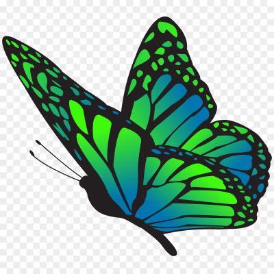 Butterfly Png Green Butterfly Png For Editing Transparent Pngsource