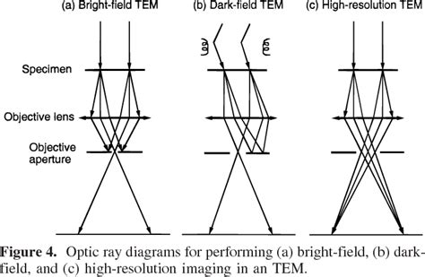 Scanning Electron Microscope Ray Diagram