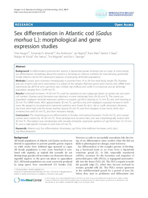 Pdf Sex Differentiation In Atlantic Cod Gadus Morhua L