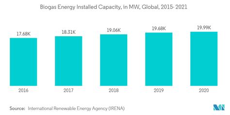 Biogas Market Share Size Growth Report 2022 27