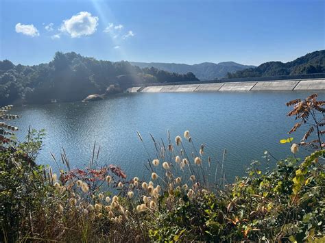 Chisapani Nagarkot Trek Through The Dhap Dam Lake Days Best Offer