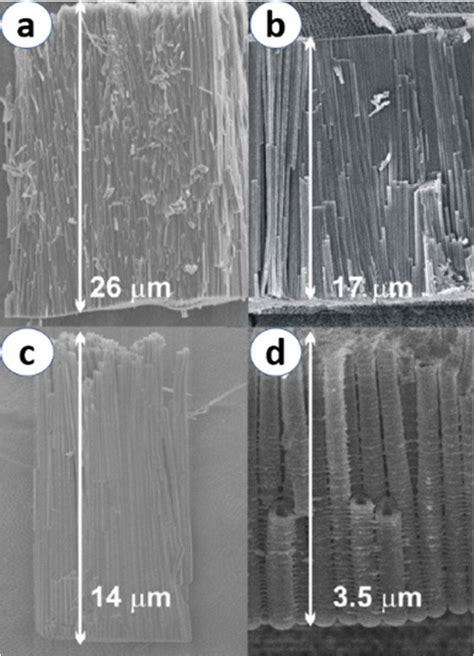 Cross Sectional Images Of Tio Nanotubes Synthesized By Applying V