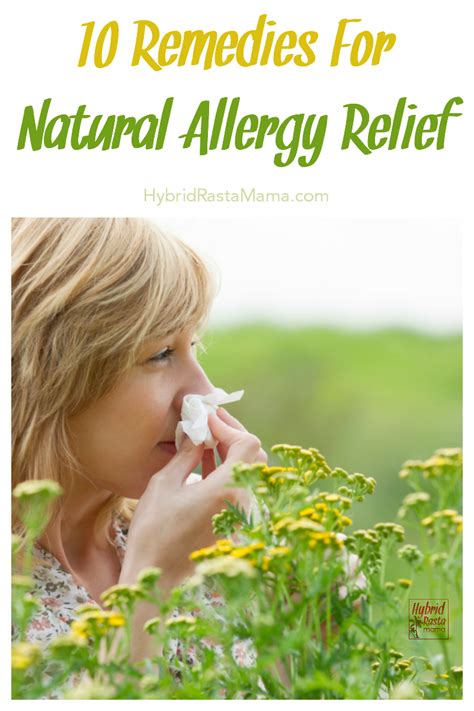 10 Remedies For Natural Allergy Relief Natural Allergy Relief