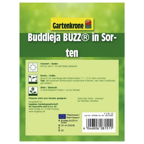 Gartenkrone Zwerg Sommerflieder Buddleja Davidii Buzz In Sorten